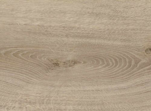 Eiche Sheffield graubraun* authentic Top Connect DISANO by HARO ClassicAqua Landhausdiele XL 4V