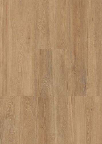Sandeiche XL gebürstet MEGA line Lico 