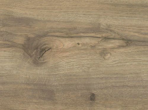 Gebirgseiche greige* strukturiert Top Connect DISANO by HARO ClassicAqua Landhausdiele XL 4V