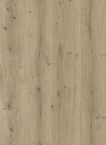 Graueiche Synchro TRENDS Eco Line matt synchron Lico