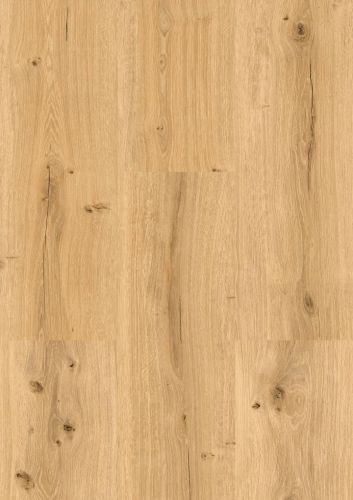 Roheiche Synchro XL matt synchron MEGA line Lico 